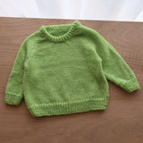 Jumper (Size 2)