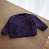 Plum Jumper (12mths)